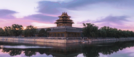 8.gif