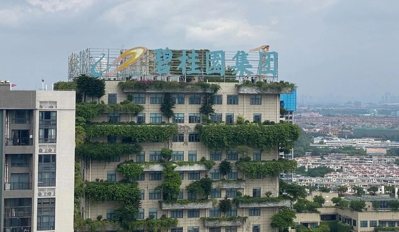 碧桂园“以房抵债”引热议，在涂料行业却掀不起波澜？
