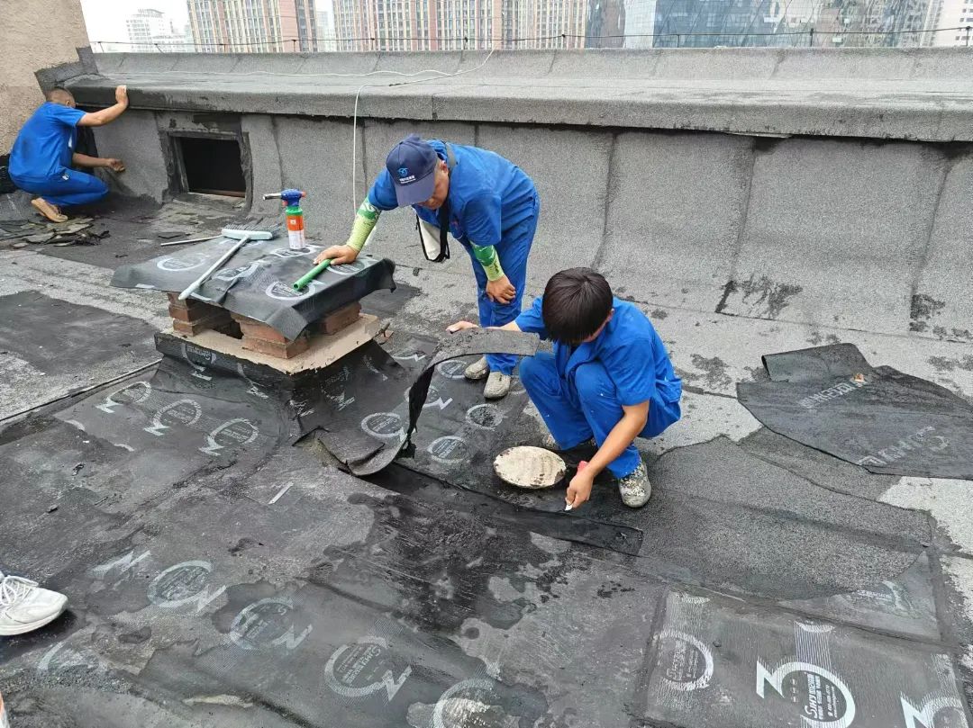 三棵树/北新建材/东方雨虹/科顺齐聚修缮赛道，会是防水行业下一个风口吗？