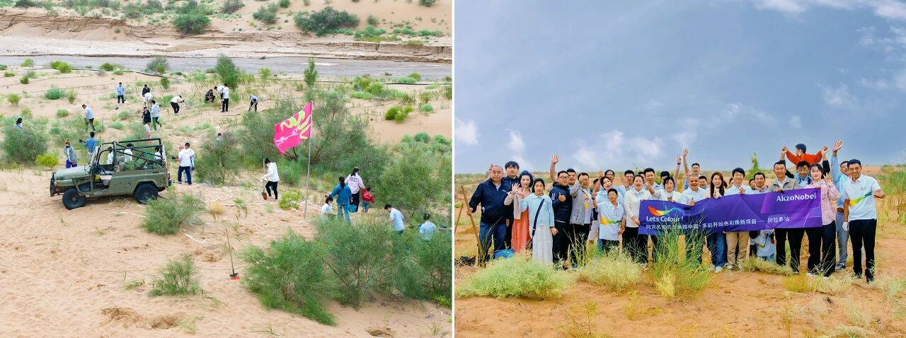 c8f916265fb8003e2b891517a1037325.jpg 8.jpg