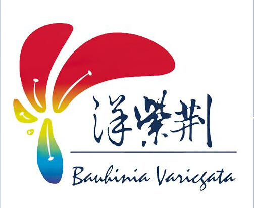 叶氏化工（洋紫荆油墨）蝉联2015年世界油墨20强