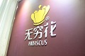 无穷花水性木器漆2015年同比增长107%