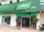 三棵树&ldquo;健康+首席呼吸官&rdquo;上任走访专卖店