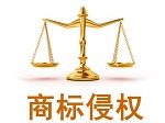 靖西查扣一批涉嫌商标侵权&ldquo;立邦&rdquo;产品