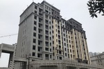 鳄鱼漆中标湖北宏伟天地