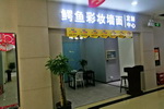 鳄鱼彩妆墙面定制中心（安徽太和店）即将开业