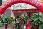 鳄鱼彩妆墙面定制中心（湖南湘潭）盛大开业
