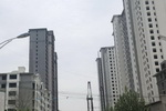 鳄鱼漆中标河北清河东风瀚城