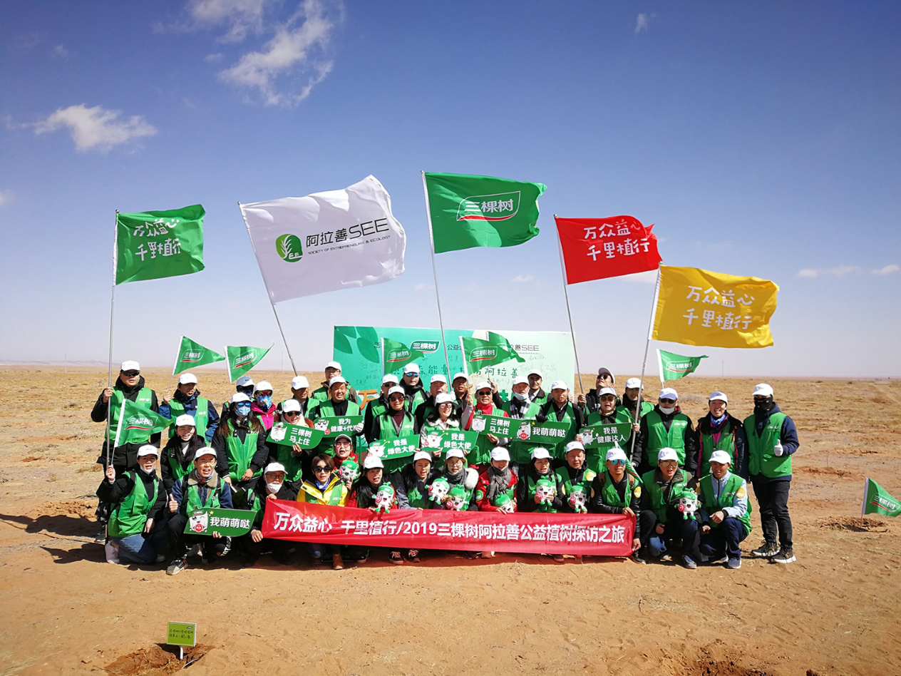 三棵树以239.85亿元位列&ldquo;2019年中国500最具价值品牌&rdquo;涂料类第