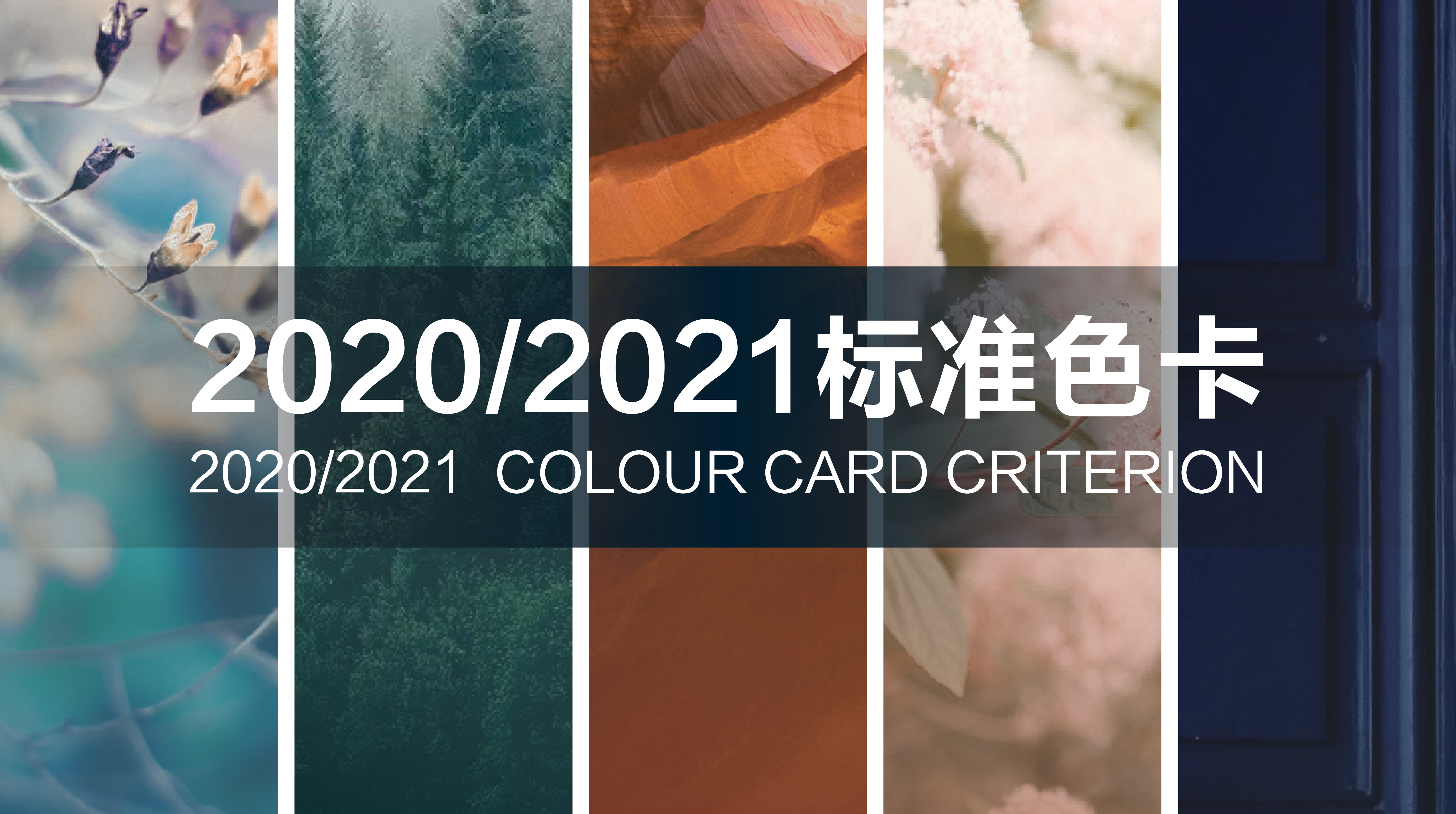 嘉宝莉家具漆新色卡正式上市，用色彩改善健康！